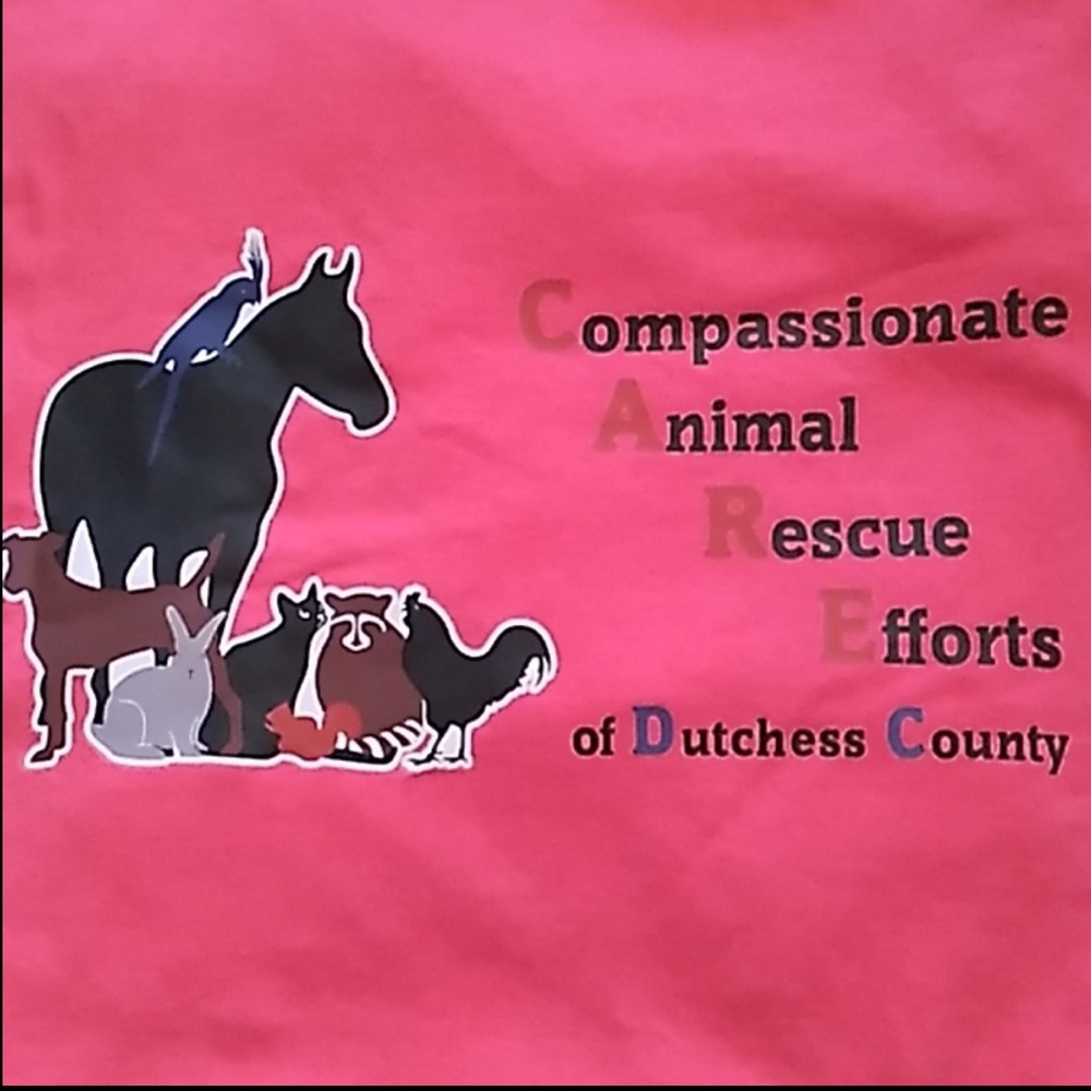 My goal is Providing temporary shelter and medical care for Animals